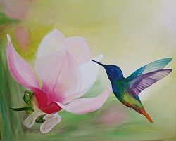   lmnyfests Magnlia s kolibri